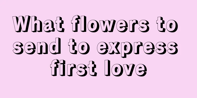 What flowers to send to express first love