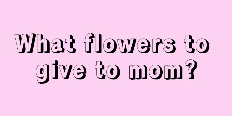 What flowers to give to mom?