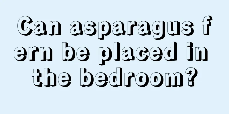 Can asparagus fern be placed in the bedroom?