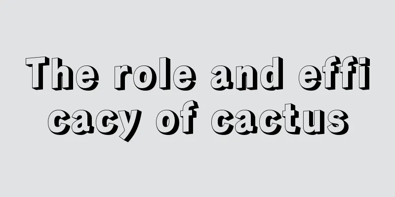 The role and efficacy of cactus