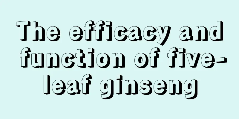 The efficacy and function of five-leaf ginseng