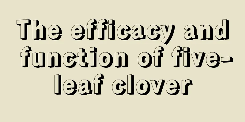 The efficacy and function of five-leaf clover