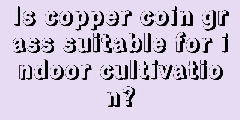 Is copper coin grass suitable for indoor cultivation?