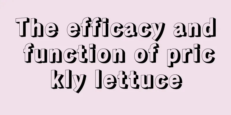 The efficacy and function of prickly lettuce