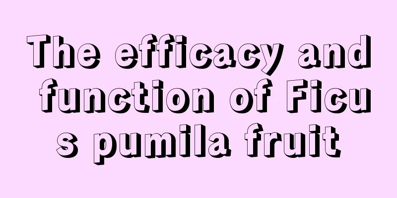 The efficacy and function of Ficus pumila fruit