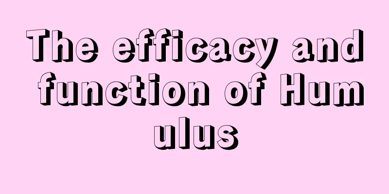 The efficacy and function of Humulus