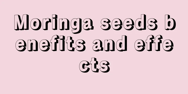 Moringa seeds benefits and effects