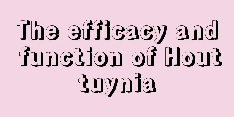 The efficacy and function of Houttuynia