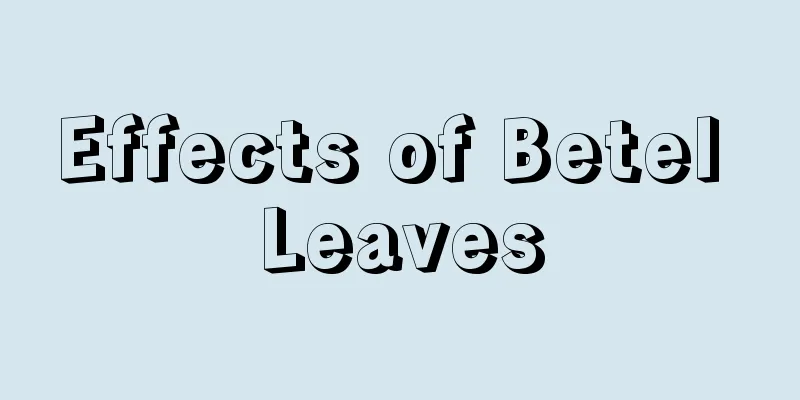 Effects of Betel Leaves