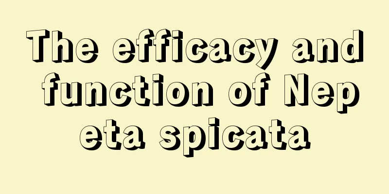 The efficacy and function of Nepeta spicata