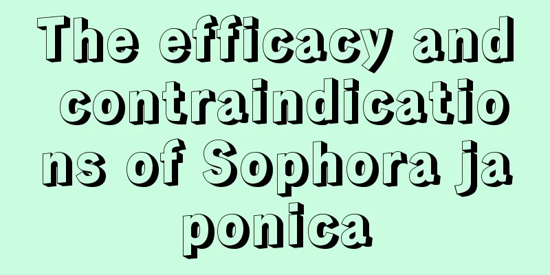 The efficacy and contraindications of Sophora japonica