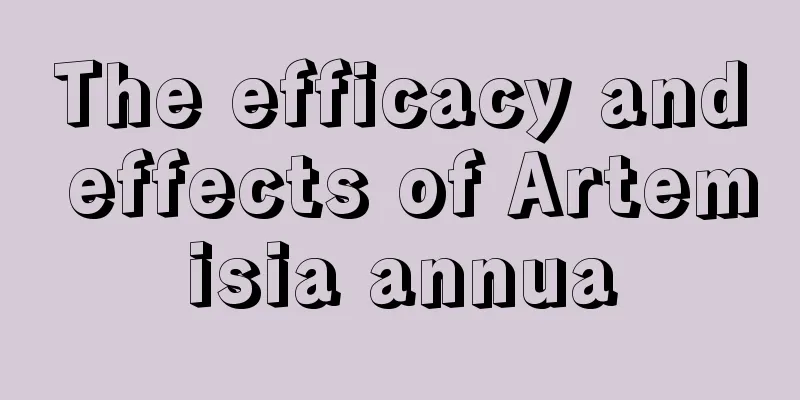 The efficacy and effects of Artemisia annua