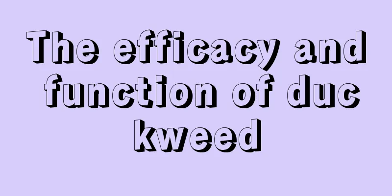 The efficacy and function of duckweed