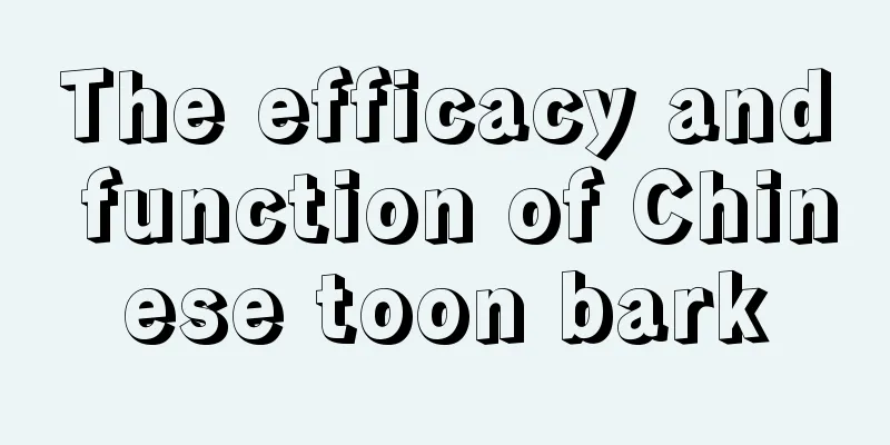 The efficacy and function of Chinese toon bark