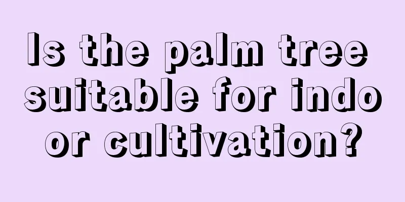 Is the palm tree suitable for indoor cultivation?