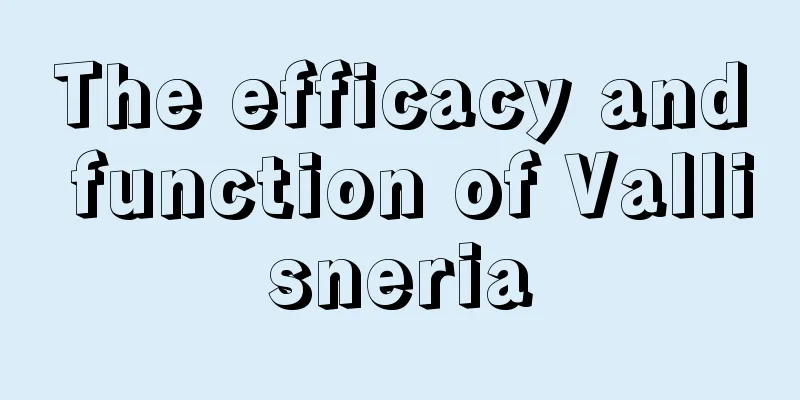 The efficacy and function of Vallisneria