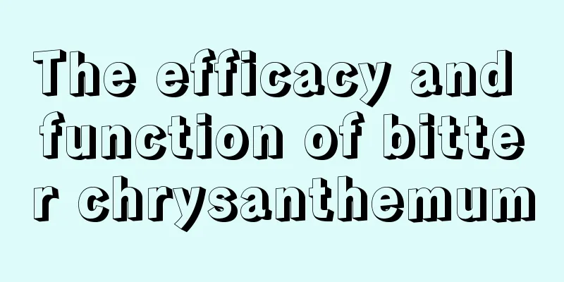 The efficacy and function of bitter chrysanthemum