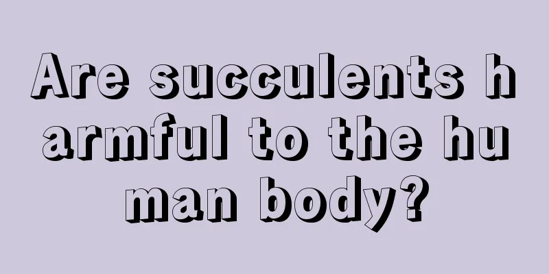 Are succulents harmful to the human body?