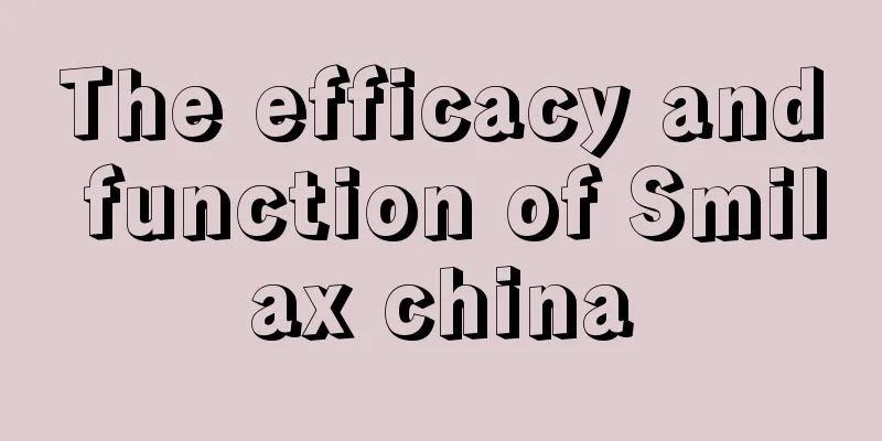 The efficacy and function of Smilax china