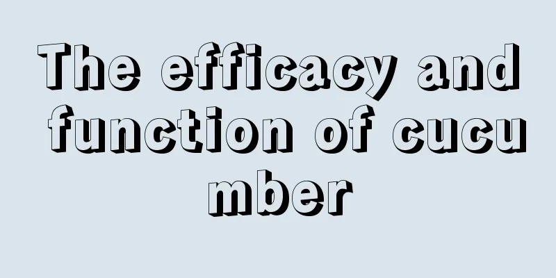 The efficacy and function of cucumber