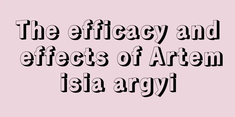 The efficacy and effects of Artemisia argyi