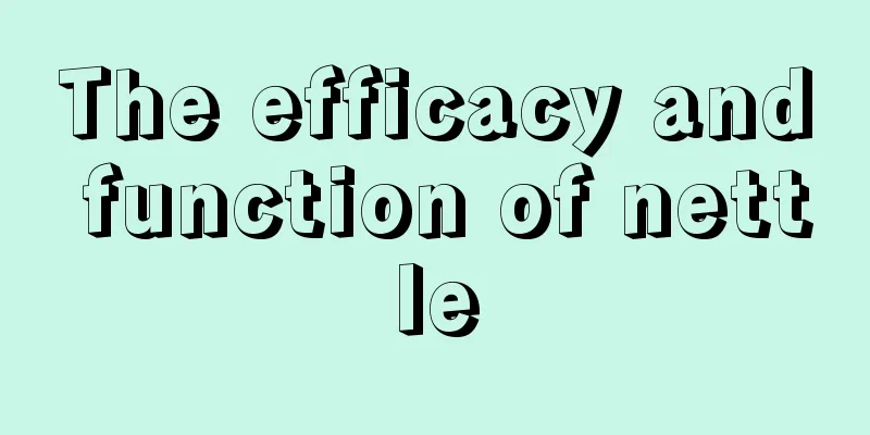 The efficacy and function of nettle