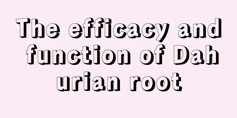 The efficacy and function of Dahurian root