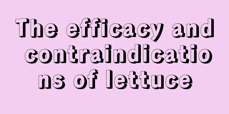 The efficacy and contraindications of lettuce