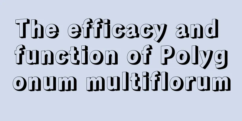 The efficacy and function of Polygonum multiflorum