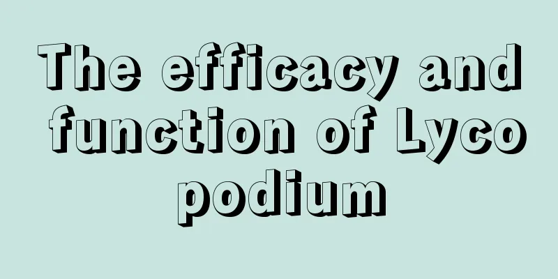 The efficacy and function of Lycopodium