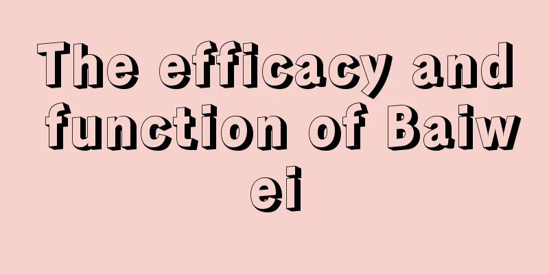 The efficacy and function of Baiwei