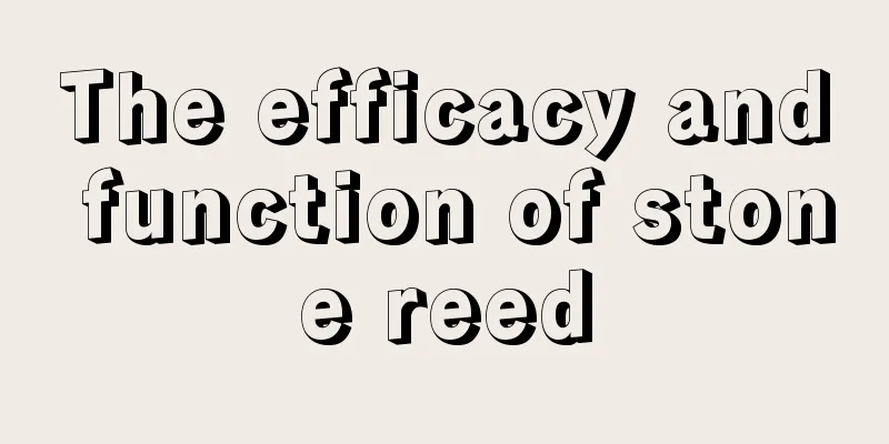 The efficacy and function of stone reed