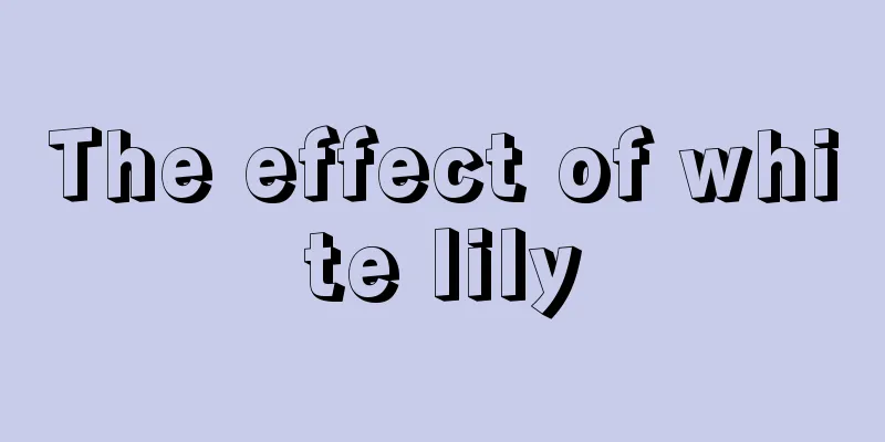 The effect of white lily