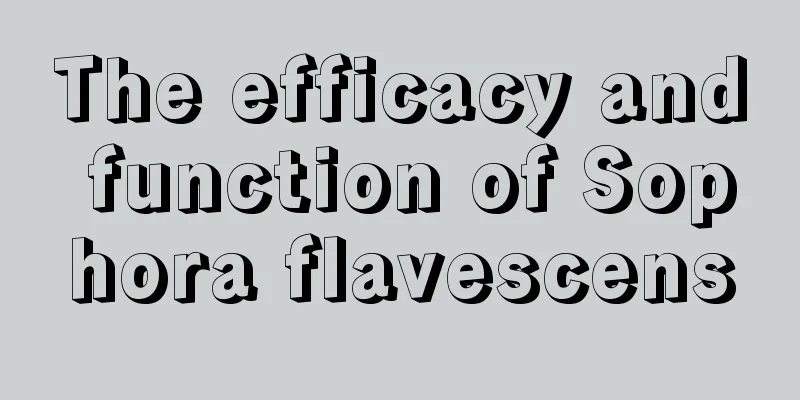 The efficacy and function of Sophora flavescens