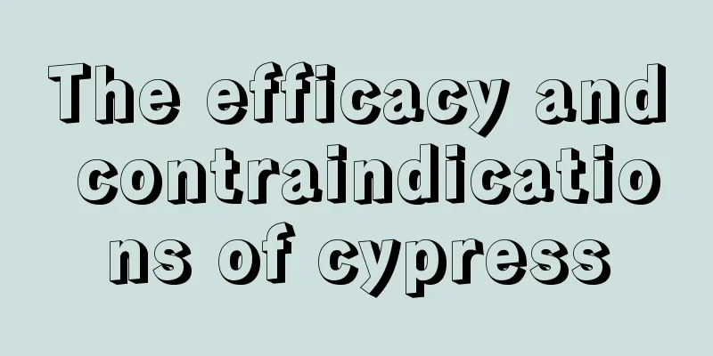 The efficacy and contraindications of cypress