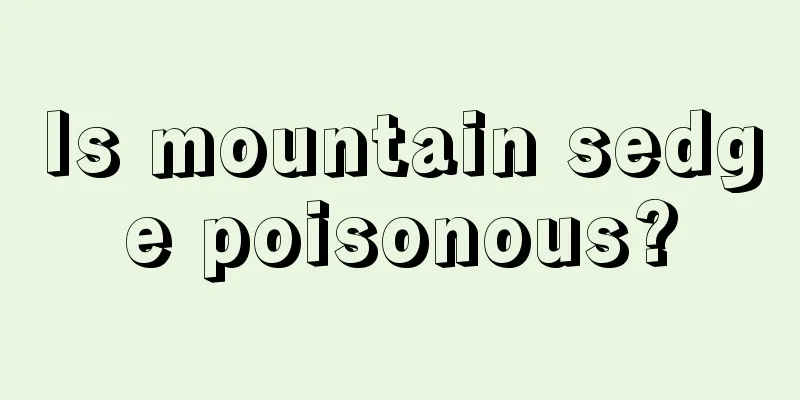 Is mountain sedge poisonous?