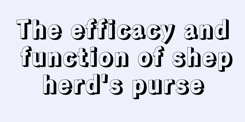 The efficacy and function of shepherd's purse