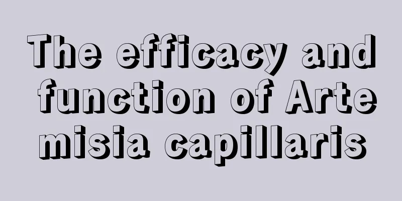 The efficacy and function of Artemisia capillaris