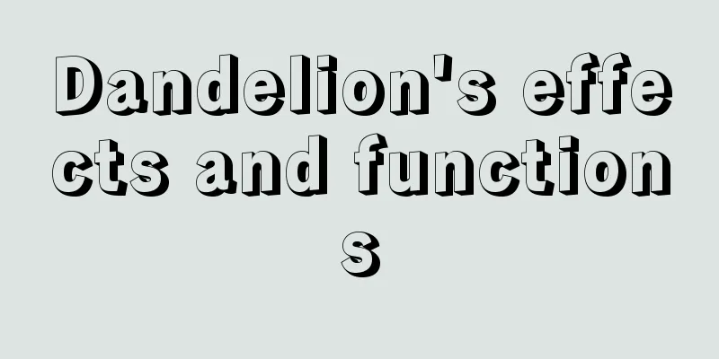 Dandelion's effects and functions