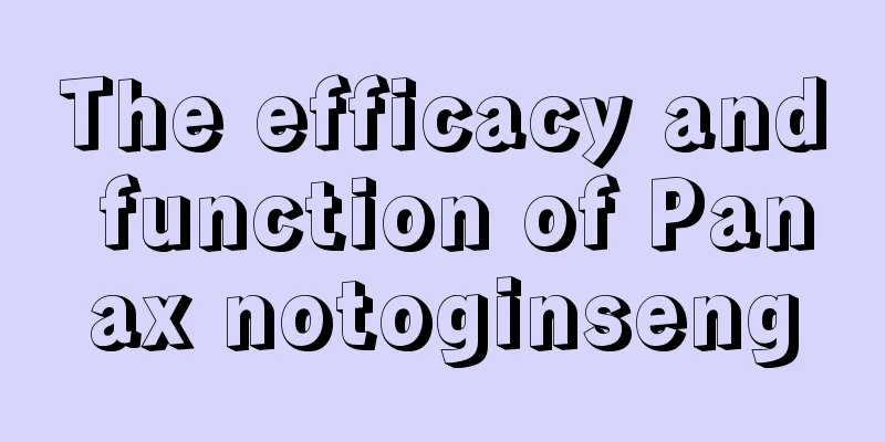 The efficacy and function of Panax notoginseng