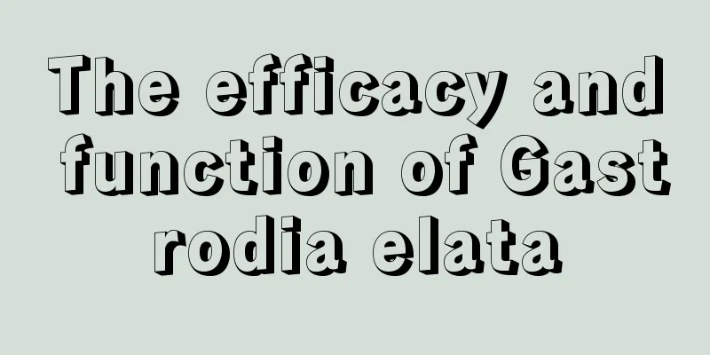 The efficacy and function of Gastrodia elata