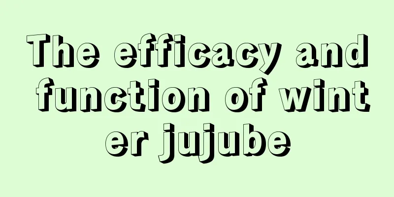 The efficacy and function of winter jujube