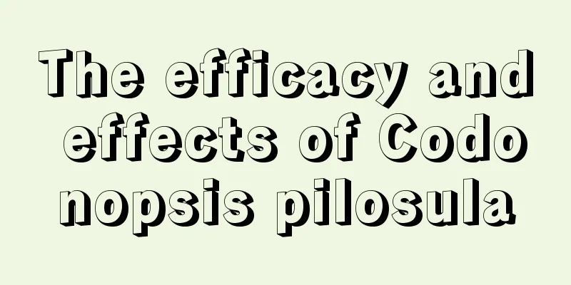 The efficacy and effects of Codonopsis pilosula