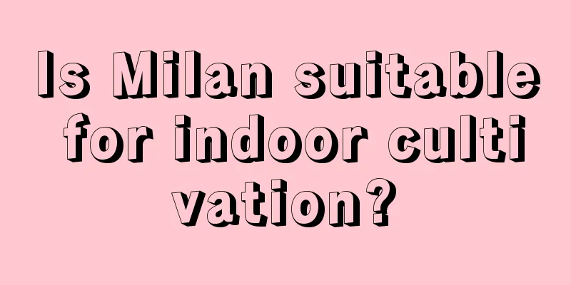 Is Milan suitable for indoor cultivation?