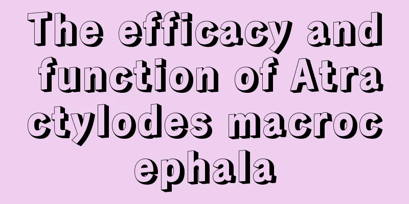 The efficacy and function of Atractylodes macrocephala