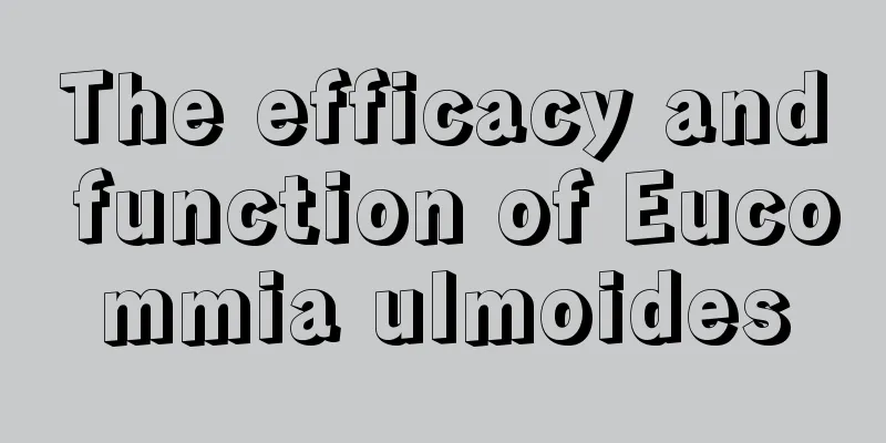 The efficacy and function of Eucommia ulmoides