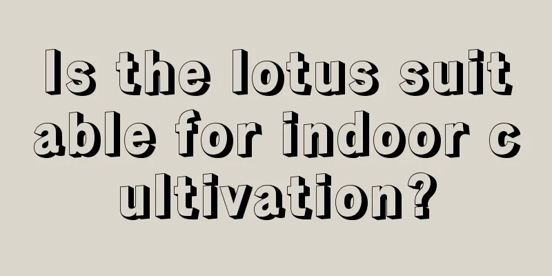 Is the lotus suitable for indoor cultivation?