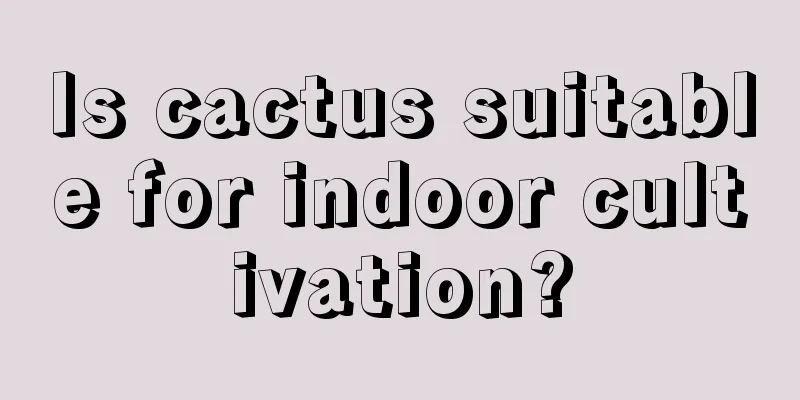 Is cactus suitable for indoor cultivation?