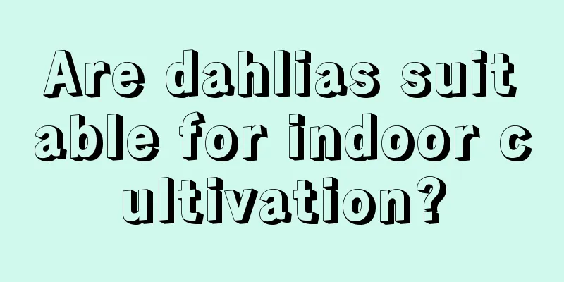 Are dahlias suitable for indoor cultivation?