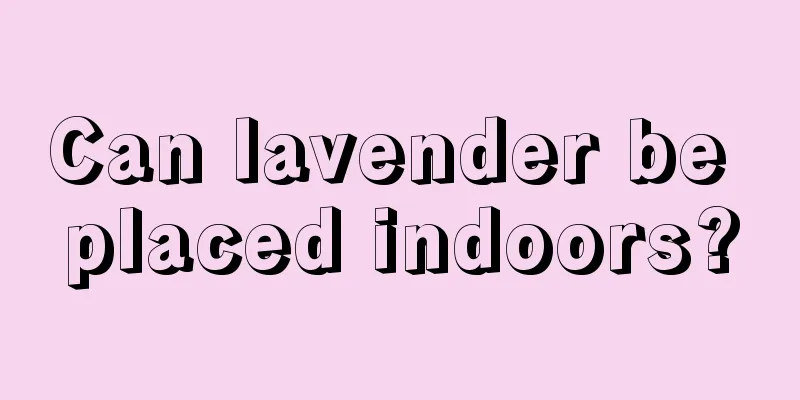 Can lavender be placed indoors?